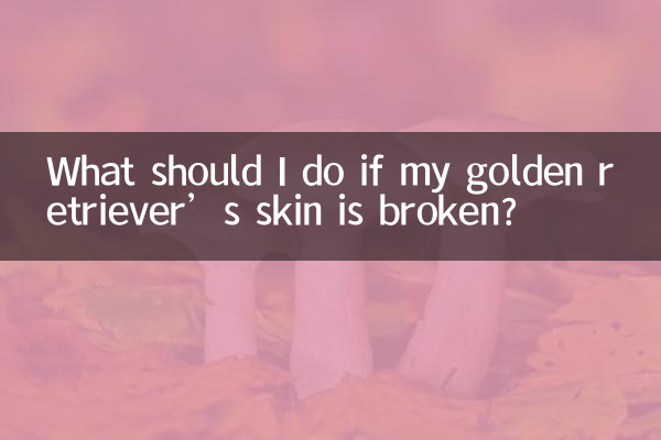 Que dois-je faire si la peau de mon golden retriever est cassée ?