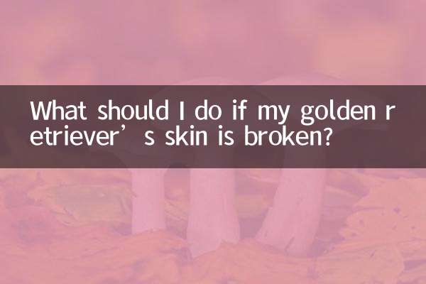 Que dois-je faire si la peau de mon golden retriever est cassée ?