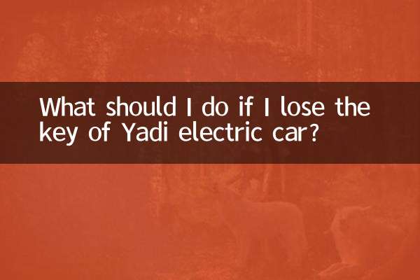 ماذا أفعل إذا فقدت مفتاح سيارة يادي الكهربائية؟