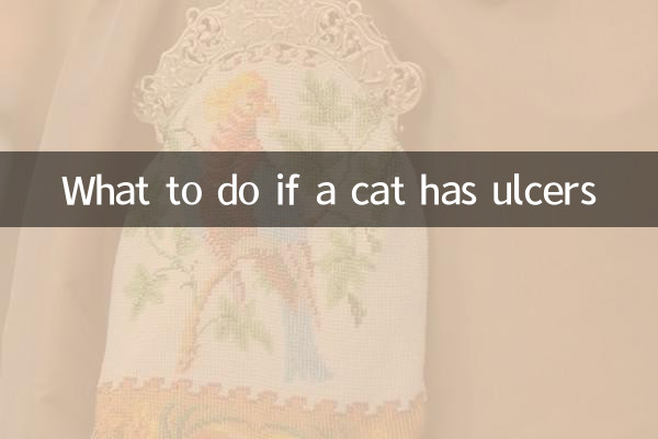 Qué hacer si un gato tiene úlceras