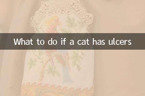 اگر گربه زخم دارد چه باید کرد؟