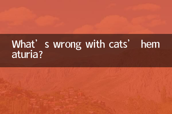 Что не так с гематурией кошек?