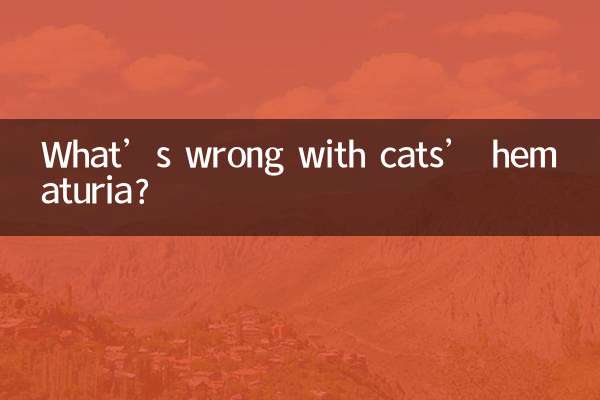 Что не так с гематурией кошек?
