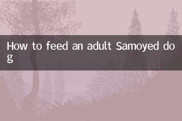 كيفية إطعام كلب سامويد البالغ