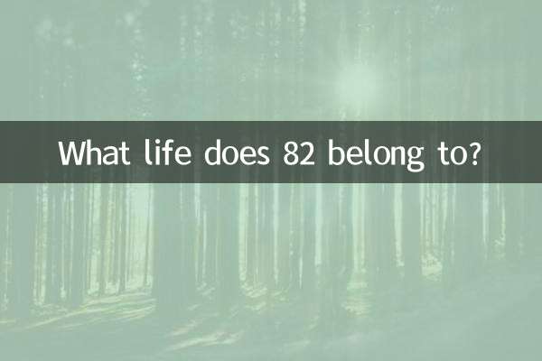 82属于什么命