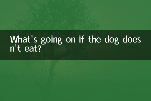¿Qué pasa si el perro no come?