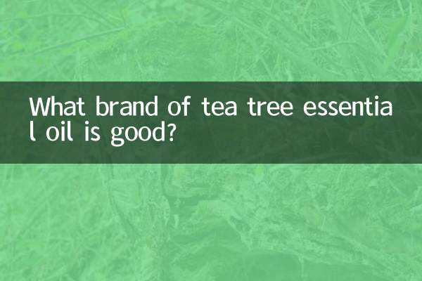 ¿Qué marca de aceite esencial de árbol de té es buena?