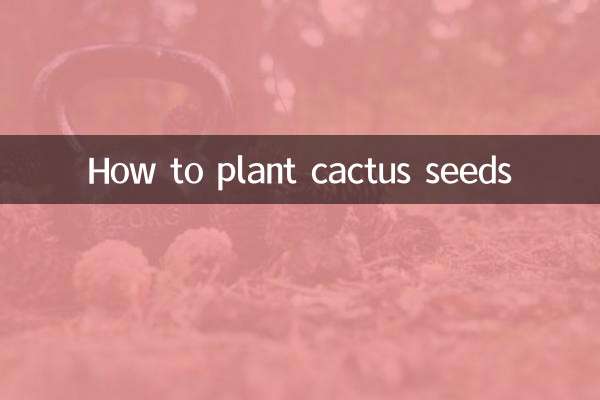 So pflanzen Sie Kaktussamen