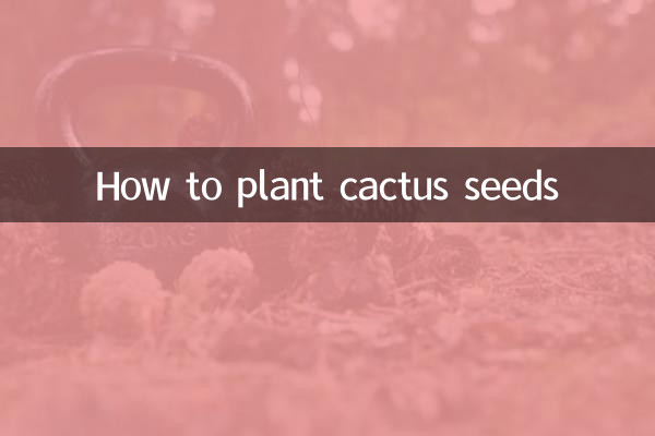 So pflanzen Sie Kaktussamen