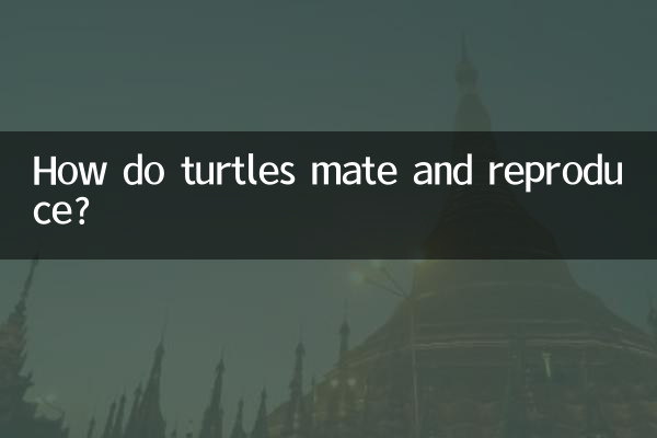 거북이는 어떻게 짝짓기와 번식을 합니까?