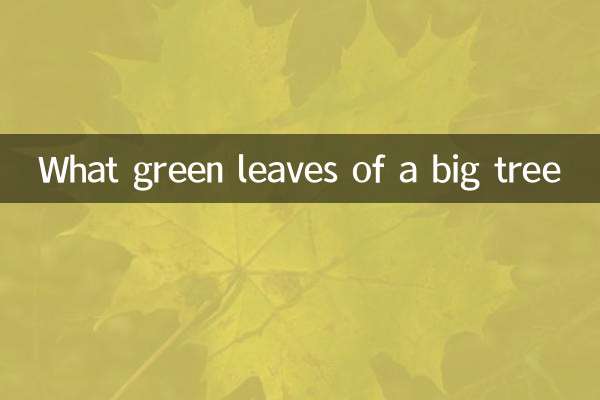 Quelles feuilles vertes d'un grand arbre