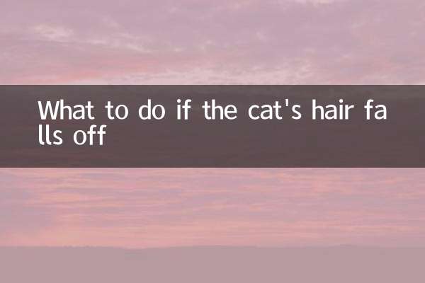 O que fazer se o cabelo do gato cair