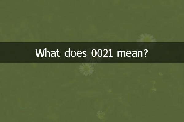 0021은 무슨 뜻인가요?
