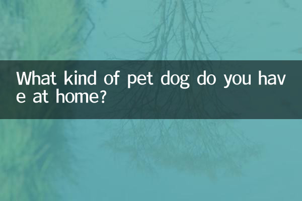 Was für einen Hund haben Sie zu Hause?