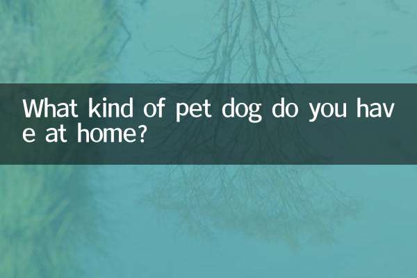 Was für einen Hund haben Sie zu Hause?