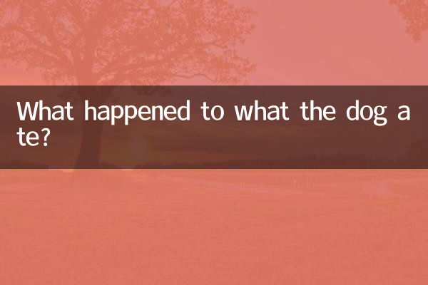 What happened to what the dog ate?