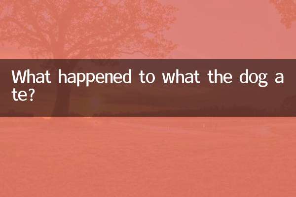 What happened to what the dog ate?