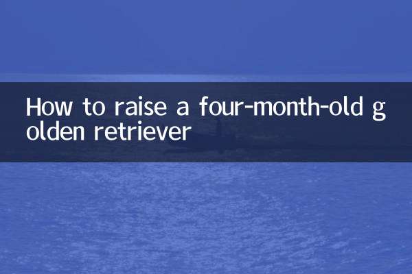 Cómo criar a un golden retriever de cuatro meses