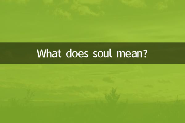 What does soul mean?