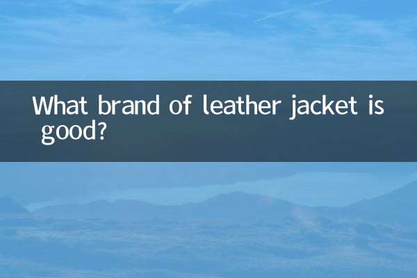 Quelle marque de veste en cuir est la bonne ?