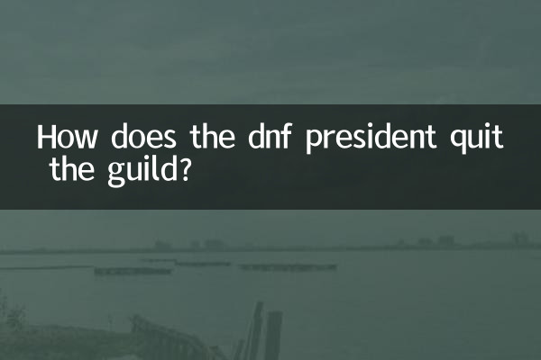 কিভাবে dnf প্রেসিডেন্ট গিল্ড প্রস্থান করেন?