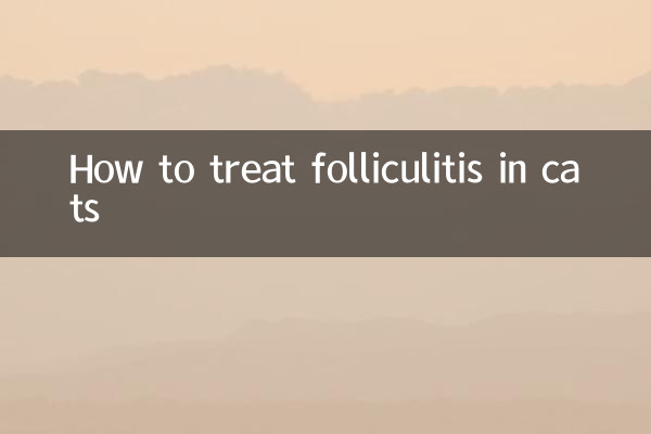 Как лечить фолликулит у кошек