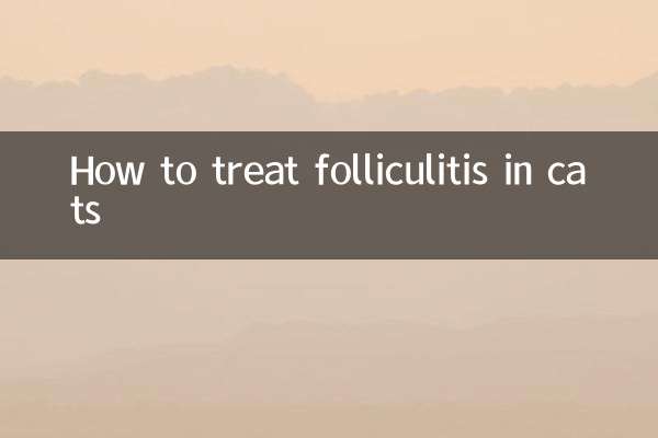 كيفية علاج التهاب الجريبات في القطط