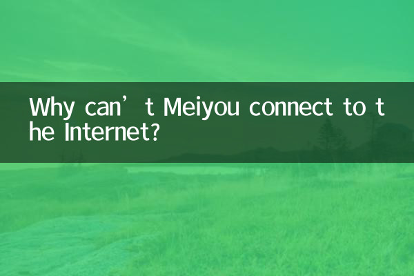 Por que Meiyou não consegue se conectar à Internet?