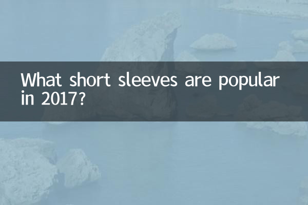 2017년에는 어떤 반팔이 유행할까요?