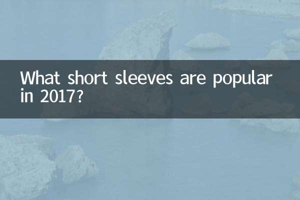 2017년에는 어떤 반팔이 유행할까요?