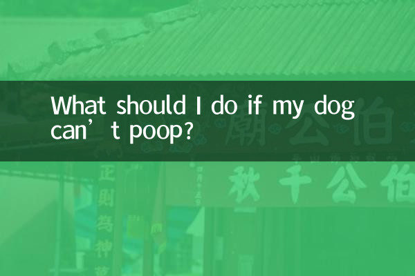 What should I do if my dog can’t poop?