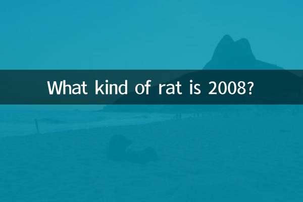 Что за крыса 2008?