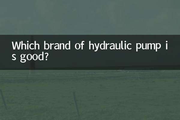 Welche Marke von Hydraulikpumpen ist gut?