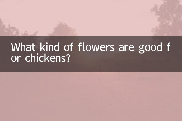 ¿Qué tipo de flores son buenas para las gallinas?