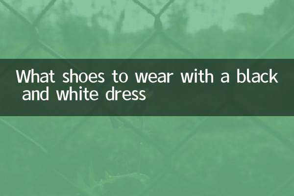 黒と白のドレスにはどんな靴を履くべきですか