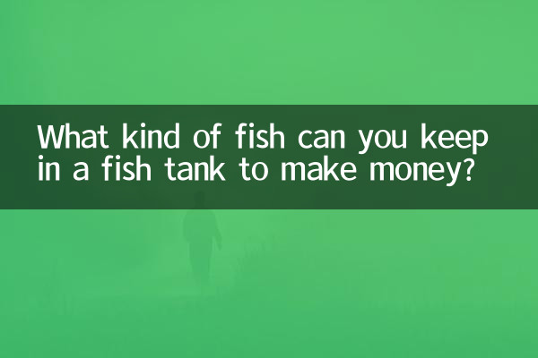 Che tipo di pesci puoi tenere in un acquario per fare soldi?