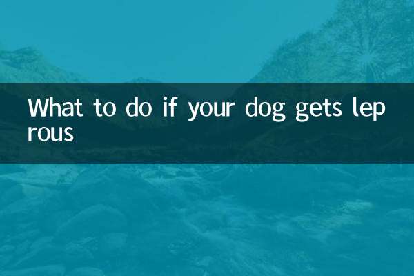 اگر آپ کا کتا کوڑھی ہو جائے تو کیا کریں