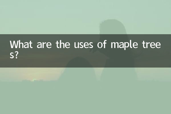 ম্যাপেল গাছের ব্যবহার কি?