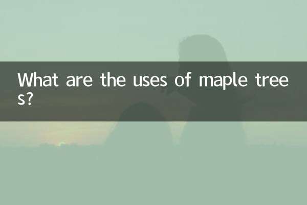 ম্যাপেল গাছের ব্যবহার কি?