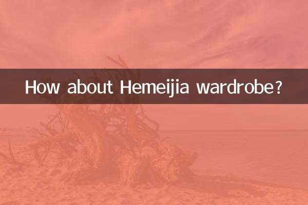 ¿Qué tal el guardarropa de Hemeijia?