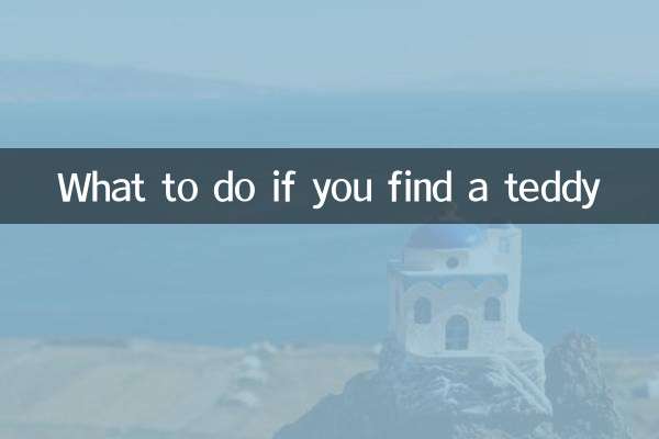 Что делать, если вы нашли плюшевого мишку