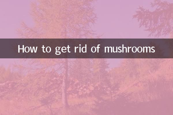 キノコを取り除く方法