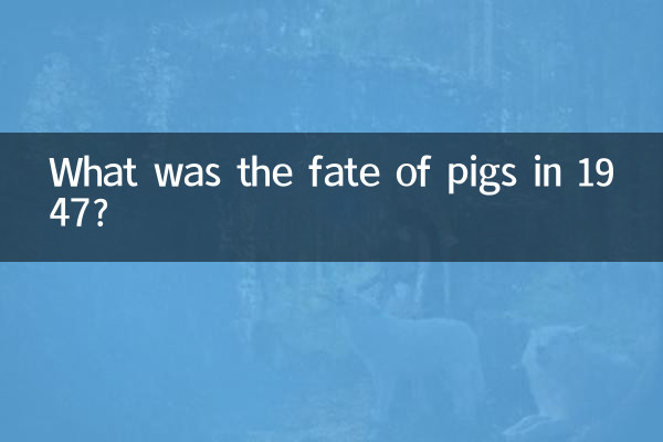 سرنوشت خوک ها در سال 1947 چه بود؟