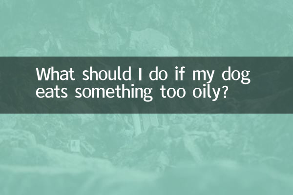 狗吃太油的东西怎么办