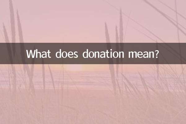 捐款的意思是什麼意思