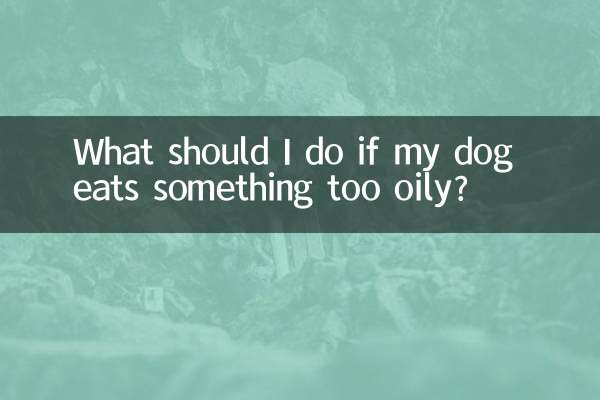 狗吃太油的东西怎么办