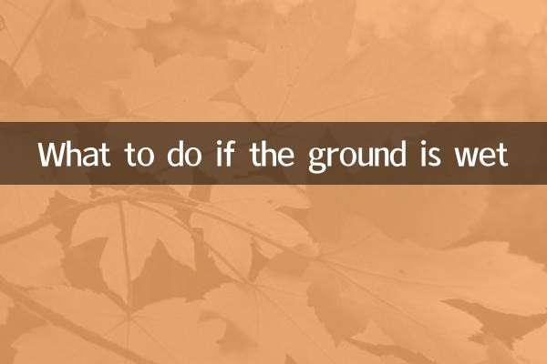 ماذا تفعل إذا كانت الأرض مبللة