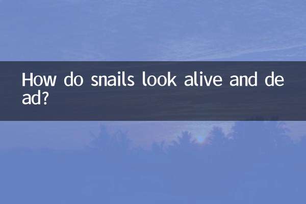 Come fanno le lumache a sembrare vive e morte?