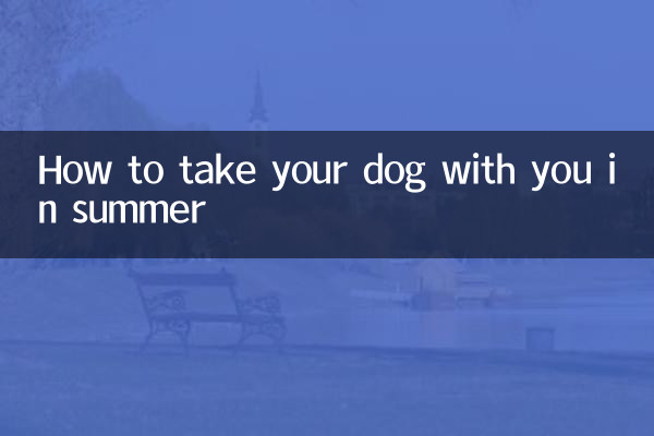 夏天怎麼帶狗狗
