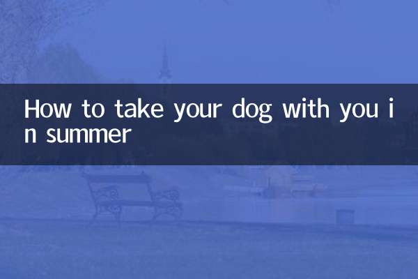 夏天怎麼帶狗狗